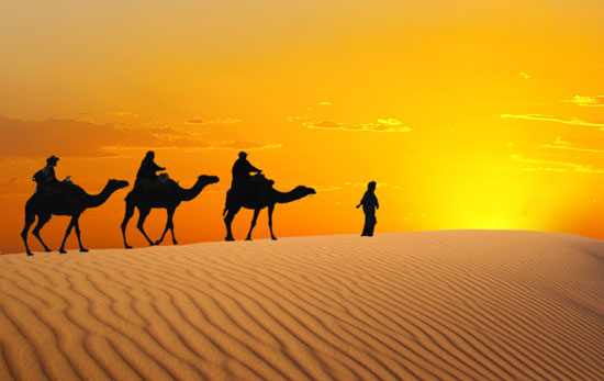 DUBAI EXPERIENCE 2026